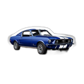 Mustang Patch