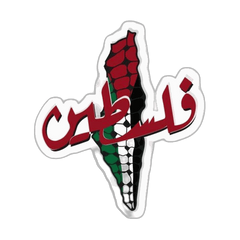 باتش فلسطين