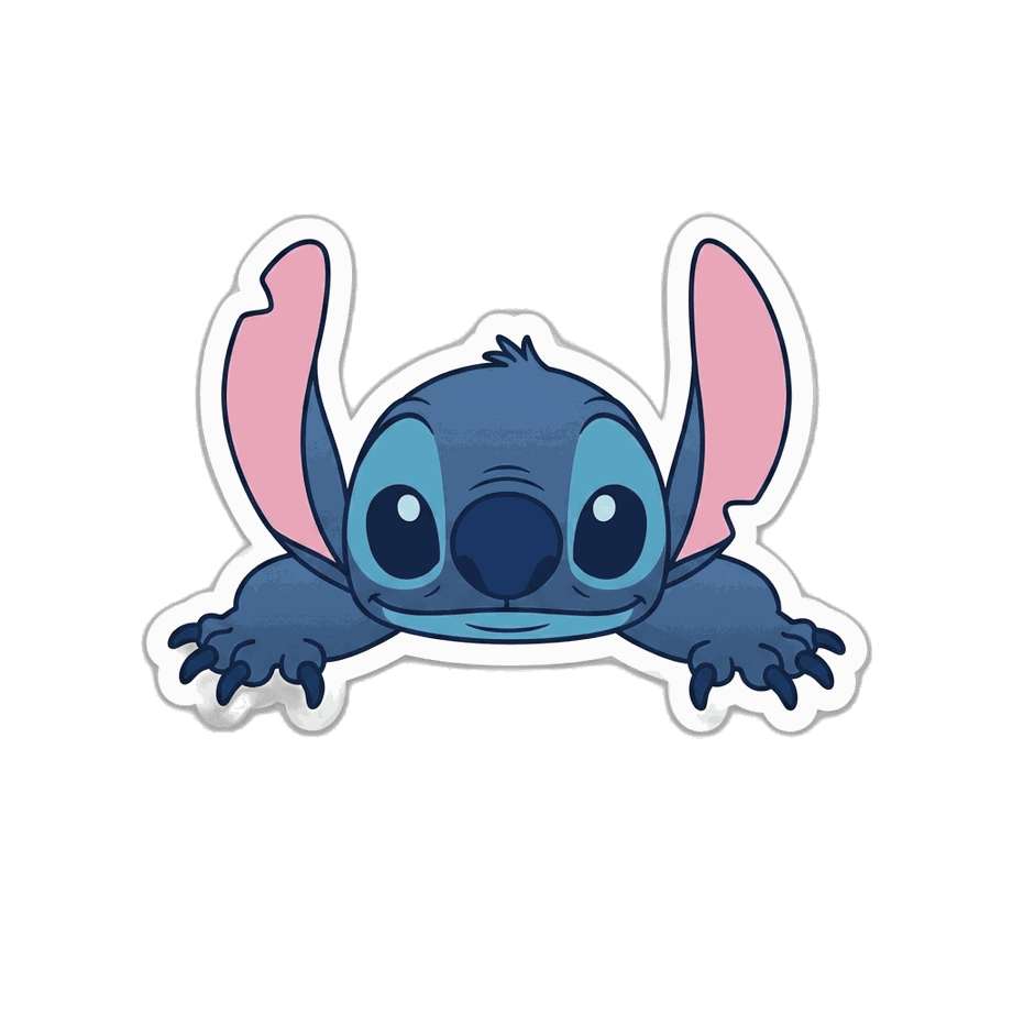 Stitch Patch